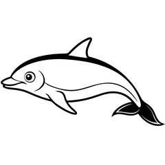 Vaquita line art vector
