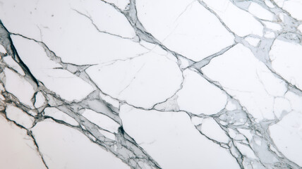 Fototapeta premium Bold dark veining on Statuario marble in a flat lay high-resolution composition