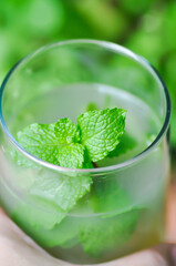 Mojito or cocktail ,mocktail or lime juice or lemon juice, lemon soda or tonic or soda and peppermint leaf