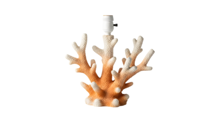Coral table lamp isolated on transparent background, a nautical and coastal themed decor for beach home interior design, stylish and unique lighting