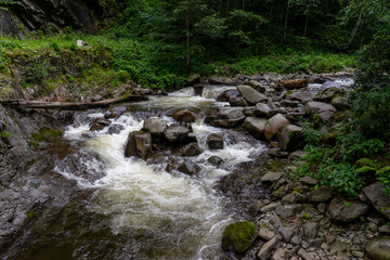 Clean mountain river flowing through stones and rocks in green forest