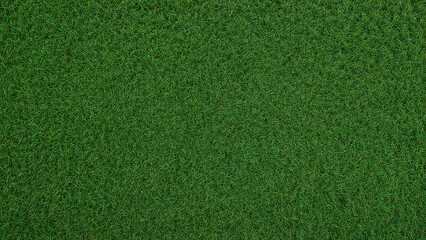 Overhead perspective of a vibrant grassy area