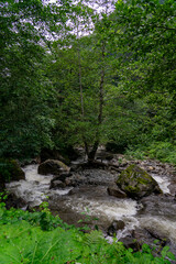 Obraz premium Clean mountain river flowing through stones and trees