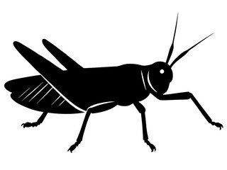 Grasshopper silhouette vector,Grasshopper icon