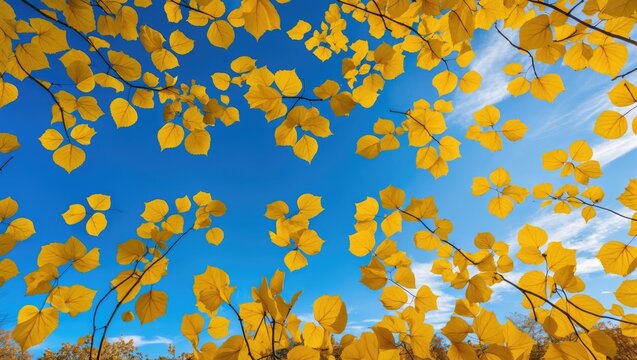 Yellow leaf design set against a clear blue sky