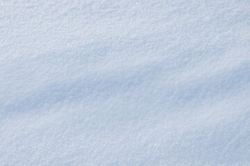 Fototapeta premium Ice crystal pattern on fresh snowfall