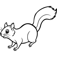 Fototapeta premium Flying squirrel line art vector
