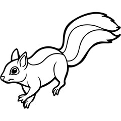 Fototapeta premium Flying squirrel line art vector