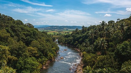 Obraz premium Meandering stream in verdant jungle and agricultural area