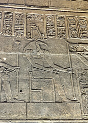 Ancient relief of Thoth, the Egyptian god of wisdom and writing, carved on the walls of the Temple of Philae in Aswan, Egypt.