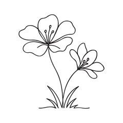 Black outlined simple floral plant has two flowers on white transparent background