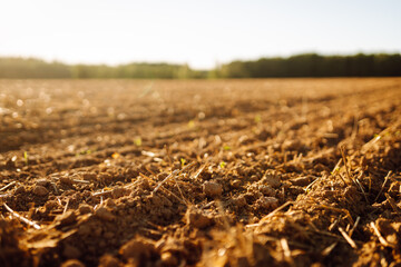 Freshly plowed field in the rays of the sunset. Fertile soil in an agricultural field before sowing in the rays of the sun. Concept of gardening, agriculture.