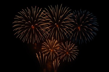 Spectacular Fireworks Lighting Up the Dark Night Sky
