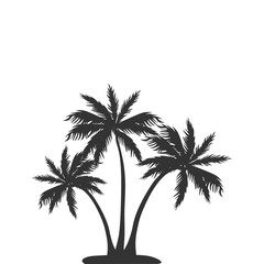 Palm Tree Shilhouette