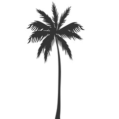 Obraz premium Palm Tree Shilhouette