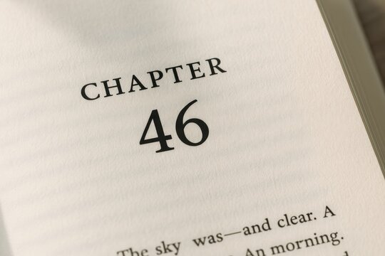 Chapter 46 from a Reading Guide in natural sunlight, highlighting the focus on numbers