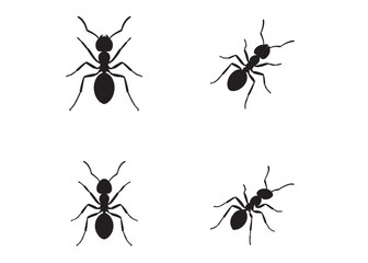 ant logo vector silhouette illustration, vector illustration of ant logo icon design, vector of a black silhouette ant, black ant silhouette isolated on white background.