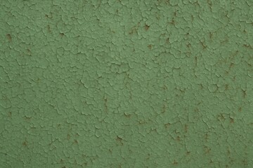 Naklejka premium Vintage green coating on iron panel featuring a textured background
