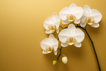 Elegant white orchid bouquet set on a glossy gold backdrop