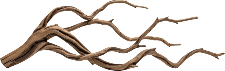 Natural weathered wood branch with intricate curves and textures isolated driftwood organic curved natural material transparent background