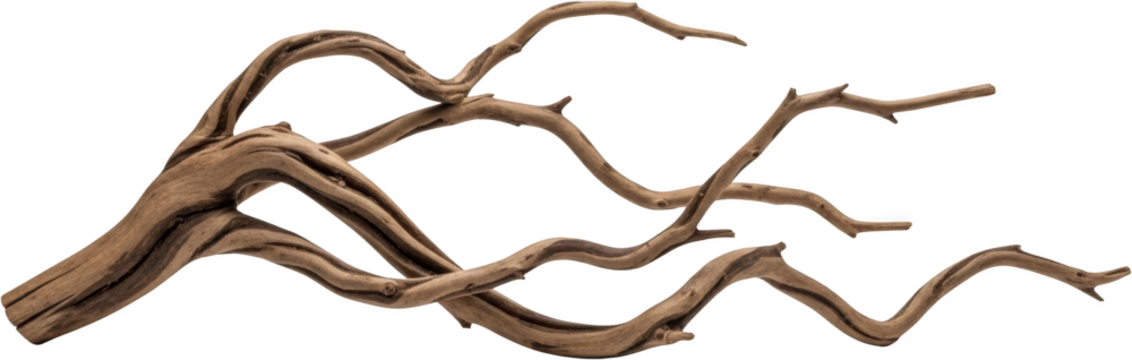 Natural weathered wood branch with intricate curves and textures isolated driftwood organic curved natural material transparent background