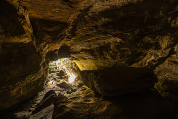 ニュージーランド　ウェスト・コースト地方のプナカイキにある洞窟内の風景