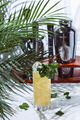 Tequila limeade alcoholic cocktail drink with tequila, agave syrup, cilantro, jalapeno, lime juice and soda with bar tools