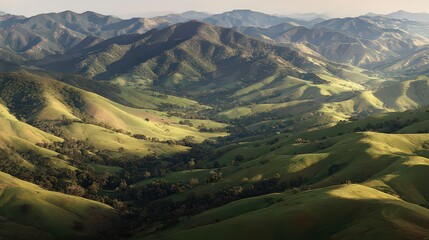 Obraz premium Panoramic View Of Lush Green Hills And Valleys Under Golden Hour Sunlight