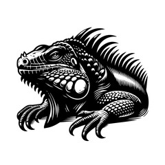 Fototapeta premium Detailed iguana illustration isolated on white background in black and white