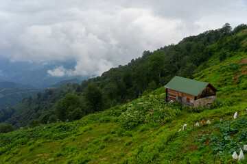 Wooden mountain hut surrounded by lush vegetation and clouds covering the valley