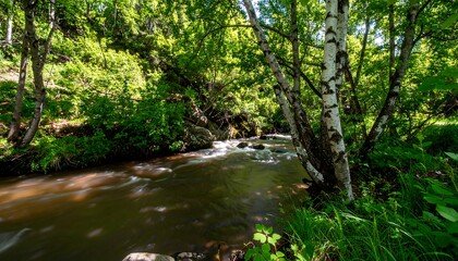 Stream flowing through a lush forest