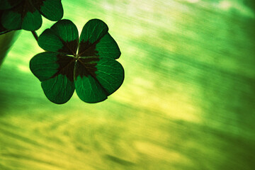 Vierbl&auml;ttriges Kleeblatt vor gruen gelb