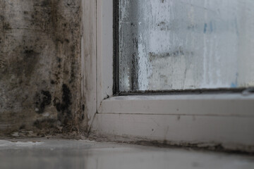 Mold on the window in the house.