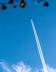 Airplane in a clear blue sky
