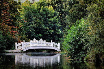Bridge