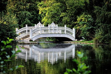 Lace Bridge