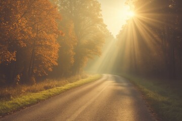Obraz premium Morning rays illuminate autumn landscape along rural path - vintage aesthetic
