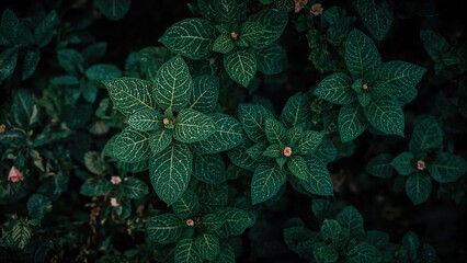 Detailed green plant leaves and soft pink flowers complementing the surrounding scenery.