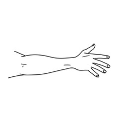 Obraz premium Stylized arm and hand illustration with outlined fingers and simple shading
