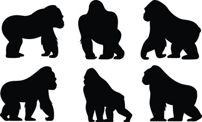 Set of Gorilla Silhouettes – Powerful Primate Vector Icons in Walking, Standing, and Squatting Poses for Wildlife or Zoo Design © MSAYASHA