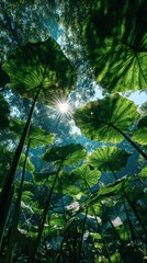 Obraz premium Sunlight Shining Through Large Green Leaves in a Lush Forest with a Serene Atmosphere and Vibrant Nature