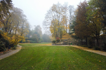 Naklejka premium Vibrant Autumn Park Landscape with Trees and Grass