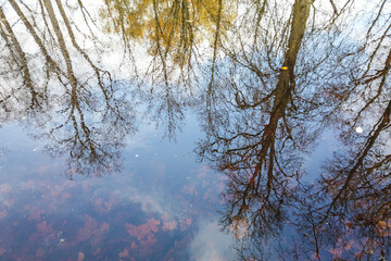Autumn Trees and Blue Sky Reflected on Lake