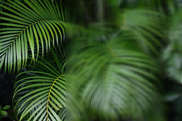 Glass effect background on tropical leaves in exotic forest