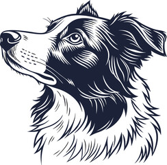 Hand-Drawn Border Collie Dog Portrait Vector Sketch