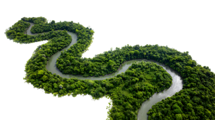 Serpentine river through lush green forest isolated on transparent background