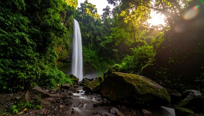 Waterfall cascading down a rocky cliff face in a lush rainforest