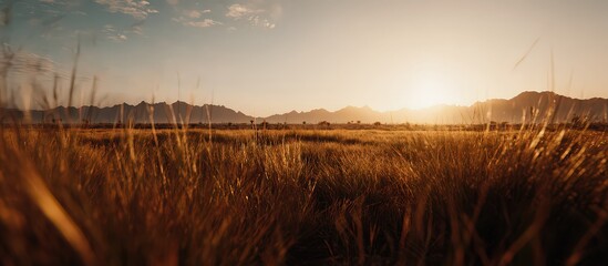 Golden Wheat Field At Sunrise With City Silhouette