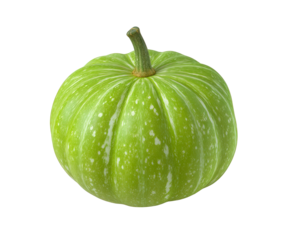 Vibrant green pumpkin with white speckles and natural stem, perfect for autumn harvest themes