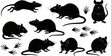 Isolated a kinds of deferent rat silhouettes in various poses on white background, perfect for pest control, Halloween graphics, Includes running, sitting, standing rats and footprints vector art .